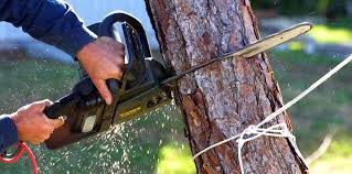 Best Aeration Services  in Fruitland Park, FL