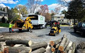 Best Arborist Consultation Services  in Fruitland Park, FL